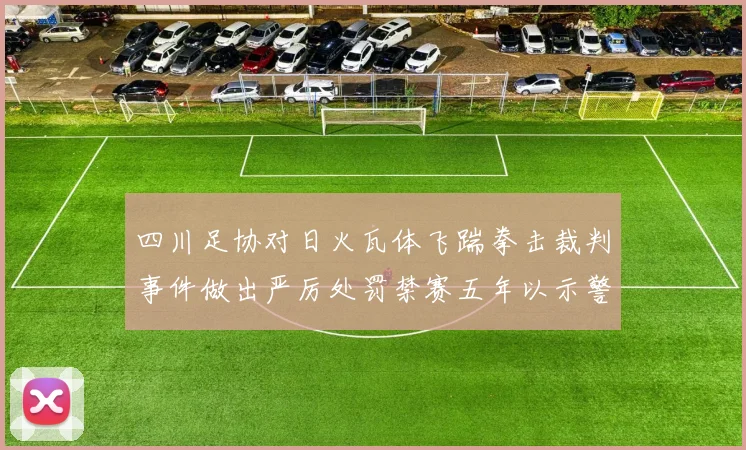 四川足协对日火瓦体飞踹拳击裁判事件做出严厉处罚禁赛五年以示警戒