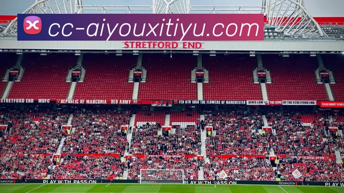 多媒体互动体验